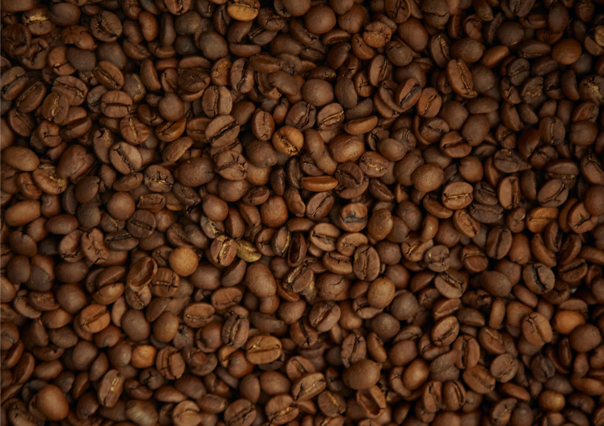 CÉLÉBREZ LA NOUVELLE ANNÉE AVEC COUTUME